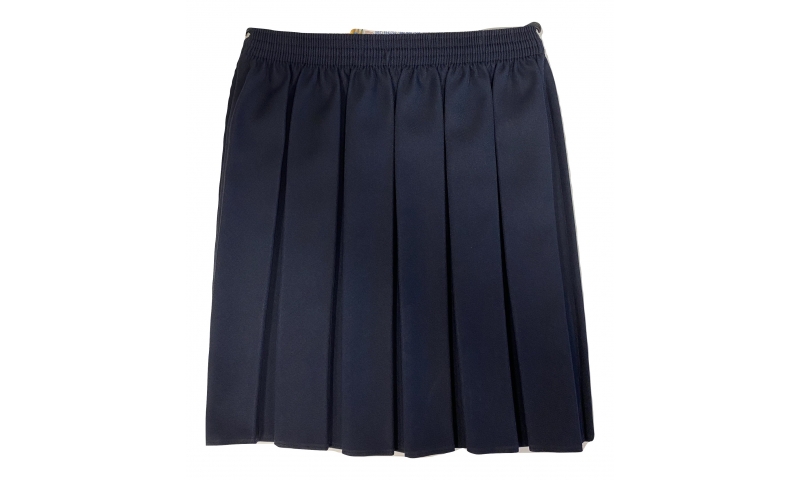 Navy Pleated Skirt