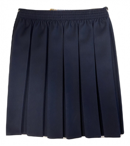 Navy Pleated Skirt